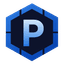 Perimeter logo